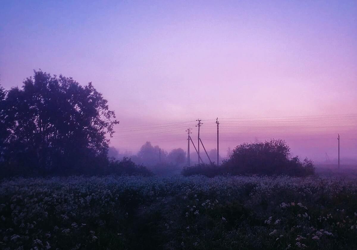 郑钦文将缺席十五运会网球比赛